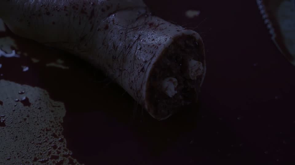 End of History Part 1 frame 267
